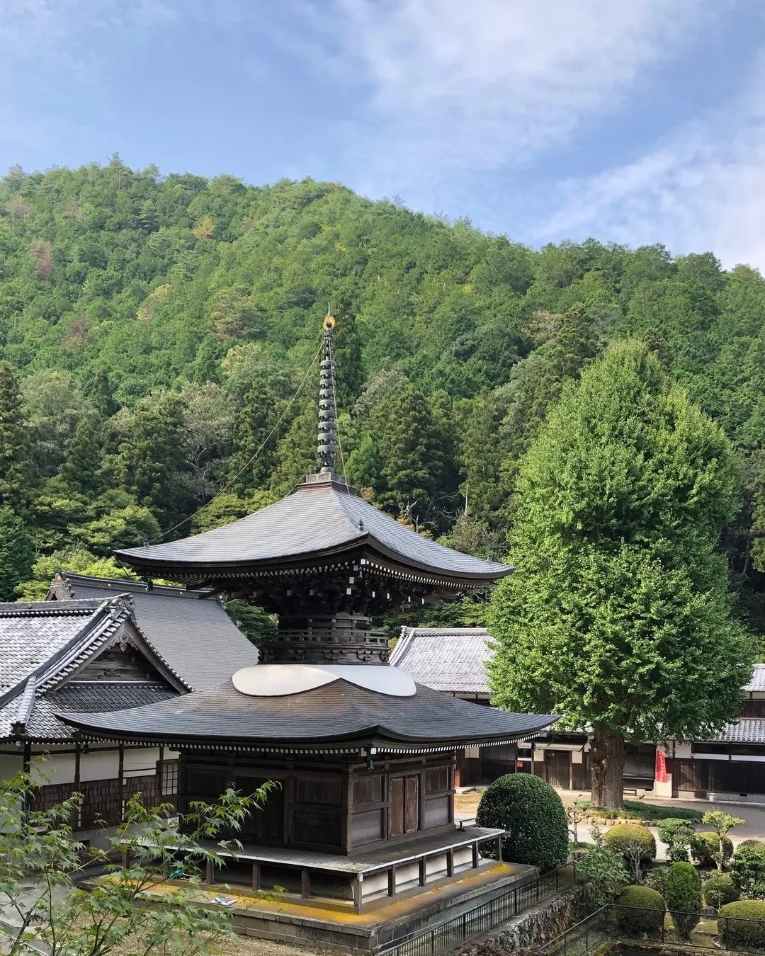 🏯 무사시 절(부조지) 이미지 4